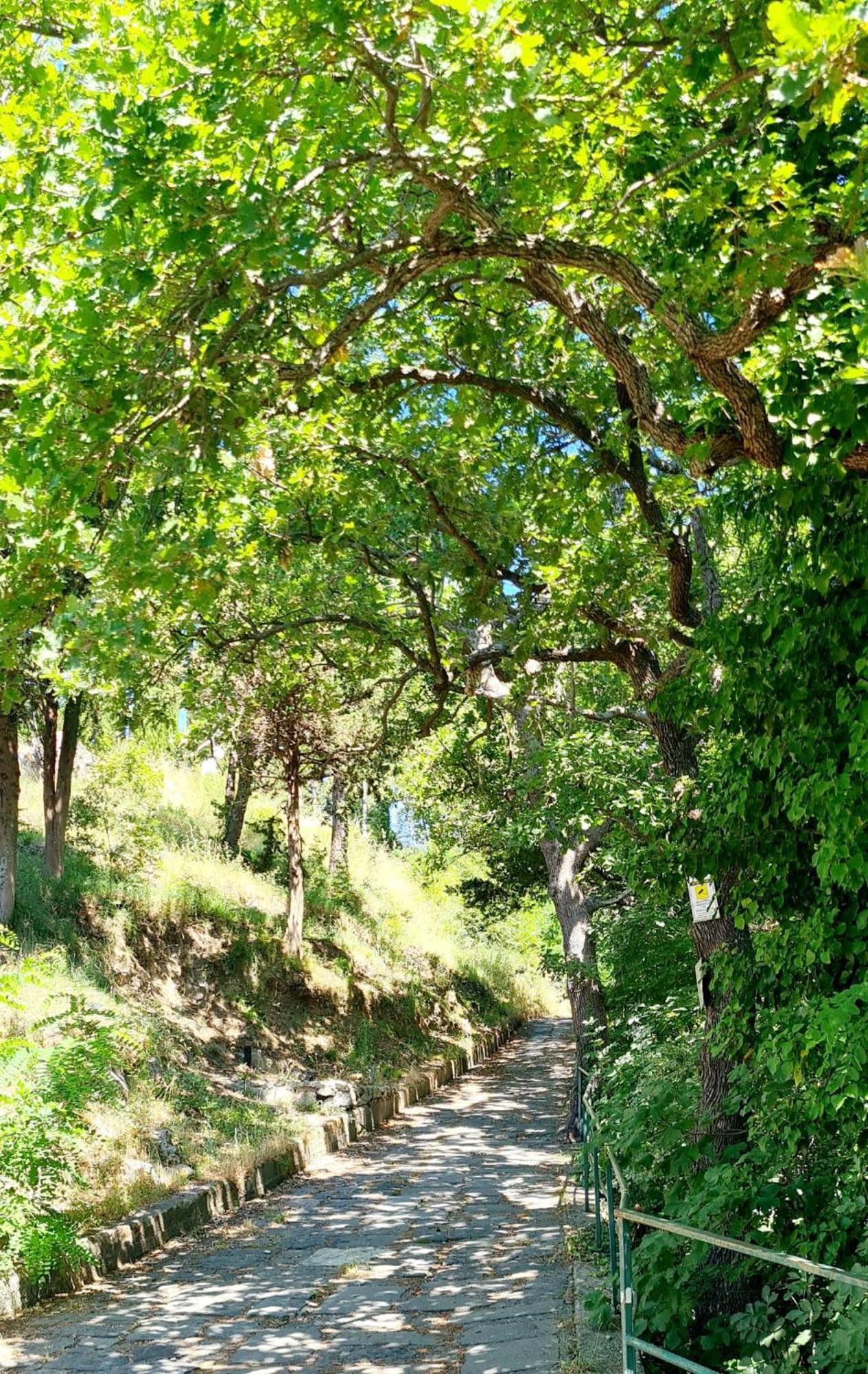 Villa Blu Costiera アマルフィ エクステリア 写真